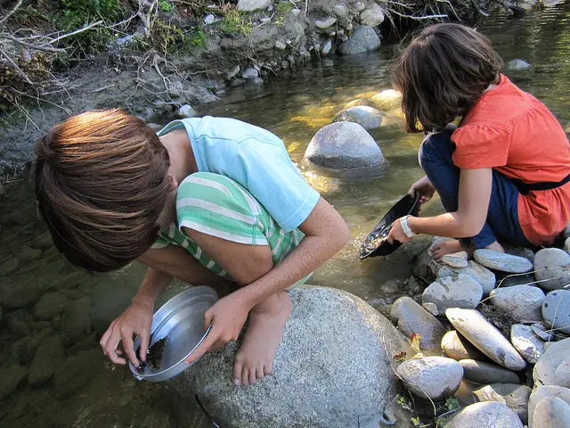 gold panning