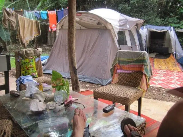 jungle camp