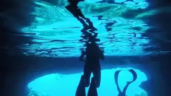 Permalink to: Freediving